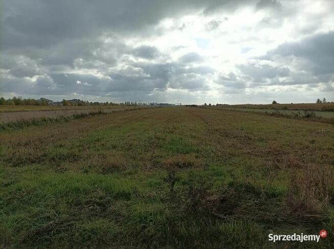 Działka 5270 m² w Ładach, blisko Warszawy