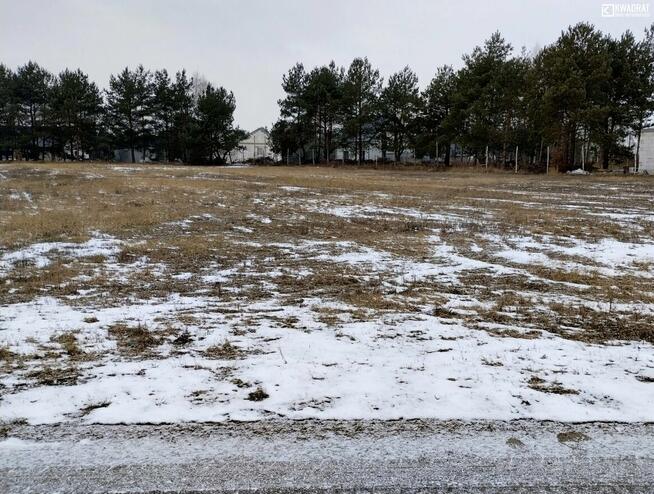 Działka budowlana Pełczyn gm. Trawniki