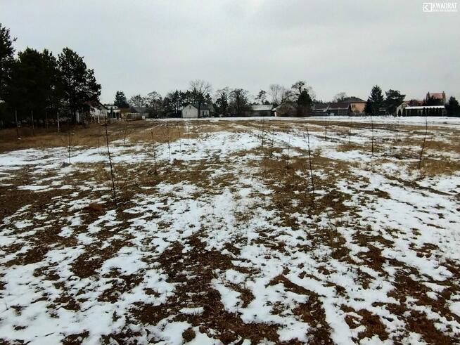 Działka budowlana Pełczyn gm. Trawniki