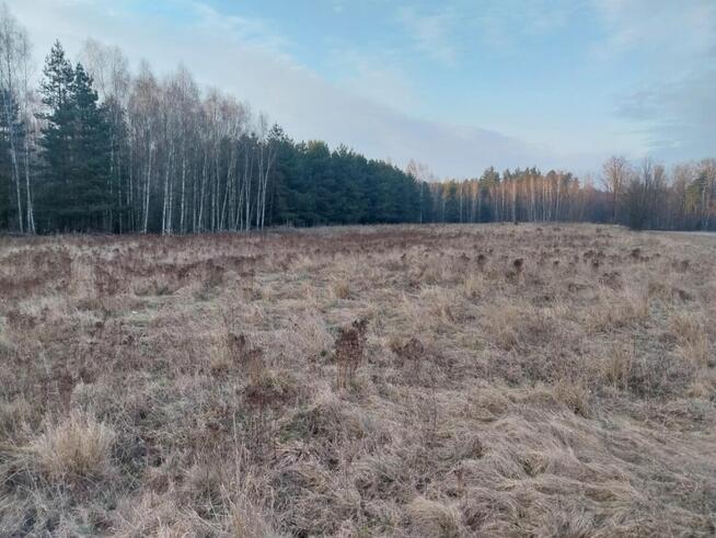 Grunt Rolny na sprzedaż Marysin gm. Kałuszyn