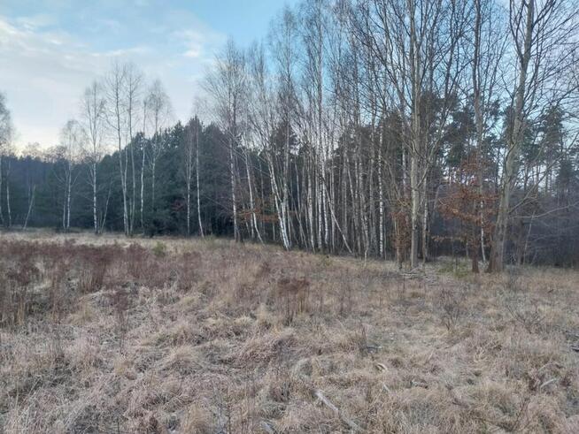 Grunt Rolny na sprzedaż Marysin gm. Kałuszyn