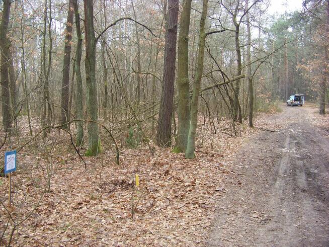 Działka dla miłośników przyrody