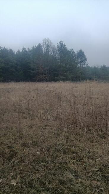 Atrakcyjna działka w pobliżu lasu