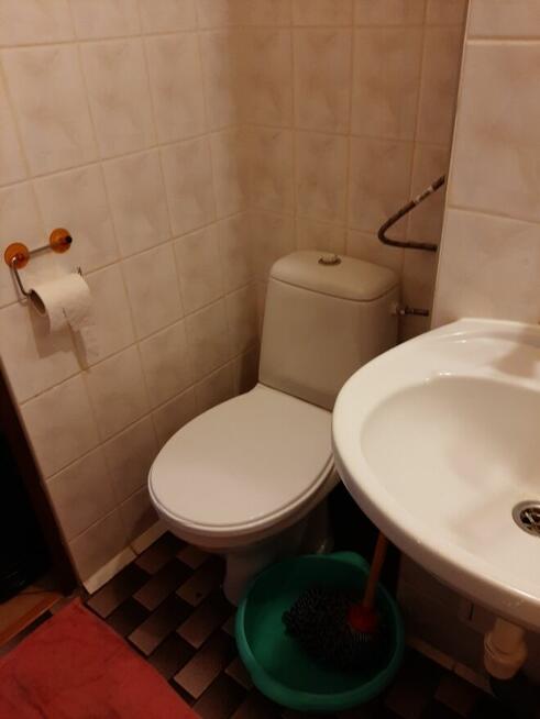 Mieszkanie do wynajęcia