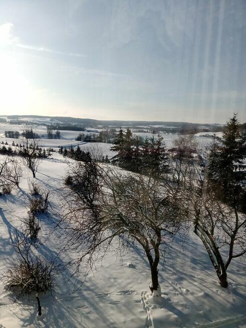 Sprzedam działki rolno-budowlane na Suwalszczyźnie