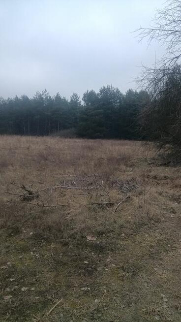 Atrakcyjna działka w pobliżu lasu
