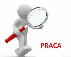 Szukam pracy (6:00-16:00) – biuro, sprzątanie, pomoc naucz.