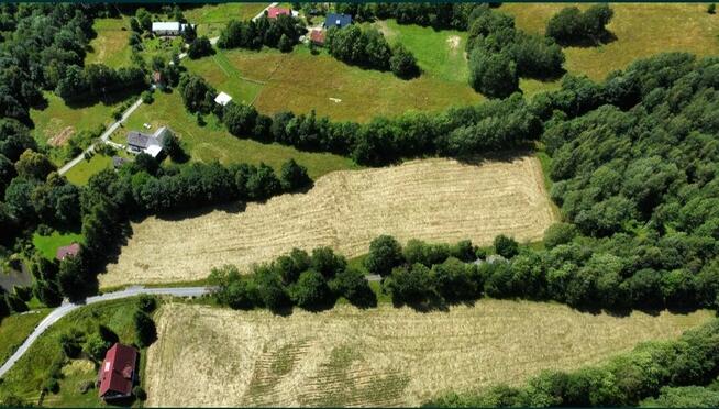 Działki w górach z war zab Polanica Zdrój Kotlina Kłodzka