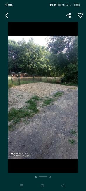 Domek z działką w lesie.