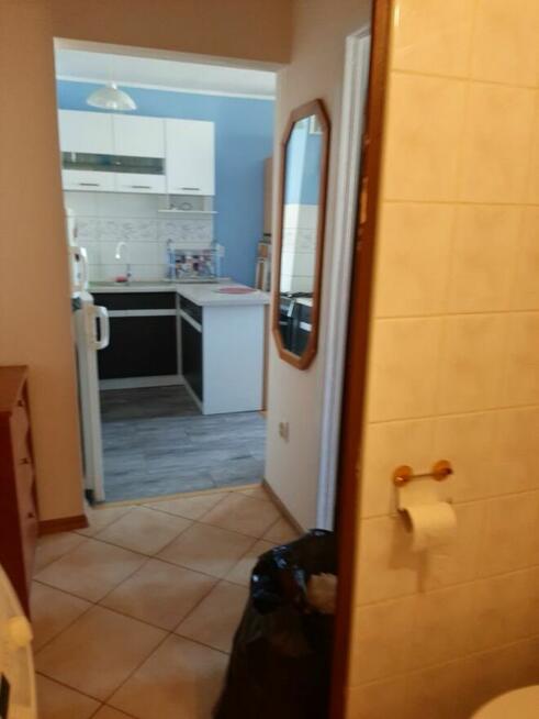 Mieszkanie do wynajęcia