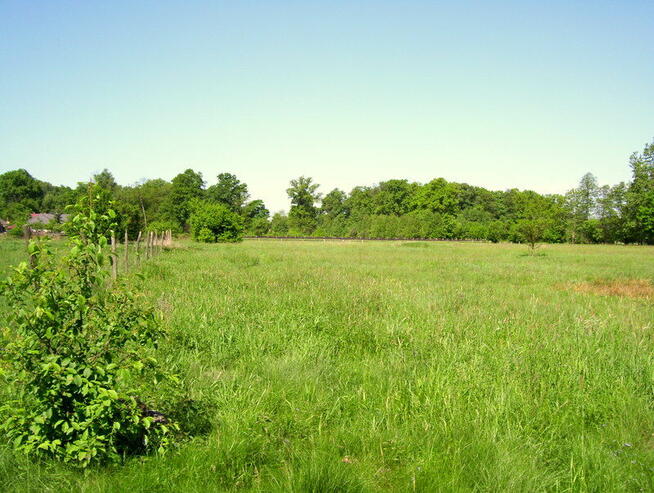 działka budowlanaZielona Góra Jarogniewice