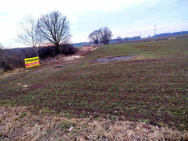 Działki rolne, grunty orne - okolice Brzegu Dolnego