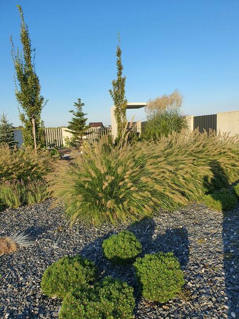 Projektowanie ogrodów