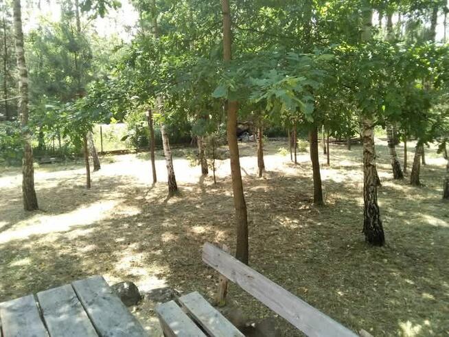 Działka budowlana nad Zalewem Domaniowskim