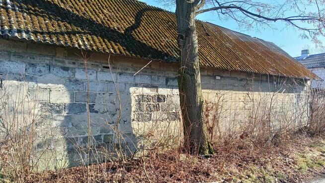 działka budowlana z sadem ekologicznym 1500m