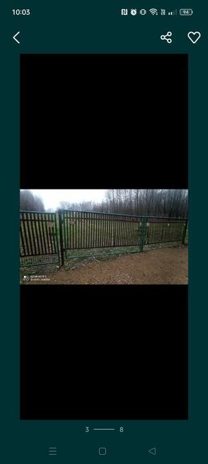 Domek z działką w lesie.