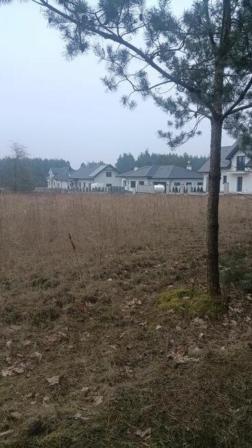 Atrakcyjna działka w pobliżu lasu