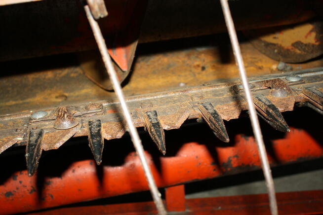 Bizon SUPER ZO56 - sieczkarnia + stół do rzepaku.