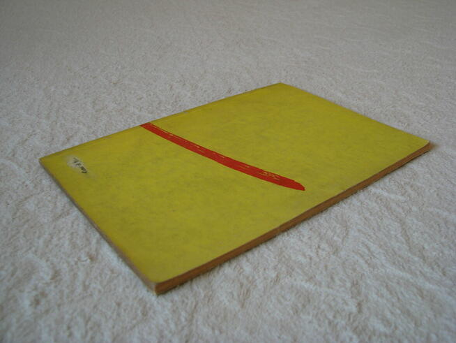 Odnawianie i konserwacja mieszkania, Marian Gruzo