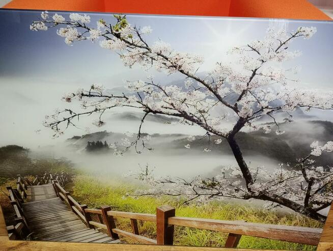 Obraz na szkle szklany salon 125x50 obrazy plaża piasek