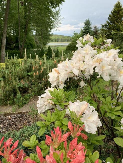 Dom z linią brzegową