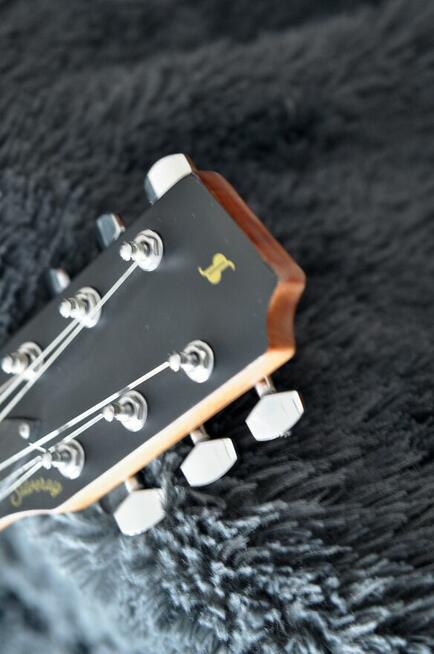 Stagg Silveray - Single Cut Les Paul - gitara elektryczna.