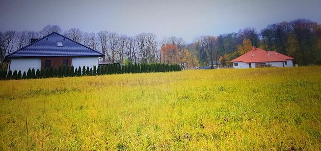 Działki w bliskiej okolicy Stargardu