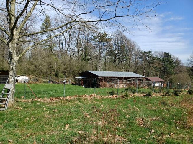 Działka budowlana Dzierżoniów, Kołaczów