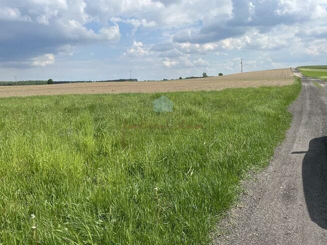 Działka budowlana Sokołowo gm. Witkowo, Sokołowo