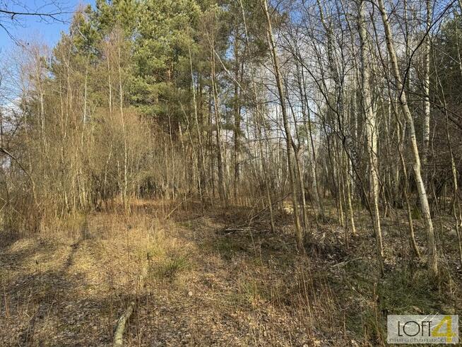 Działka rolna Stare Żukowice gm. Lisia Góra