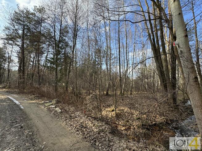 Działka rolna Stare Żukowice gm. Lisia Góra