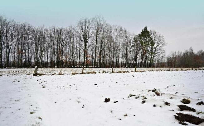 Działka pod Kazimierzem-16ar spokojna okolica!!