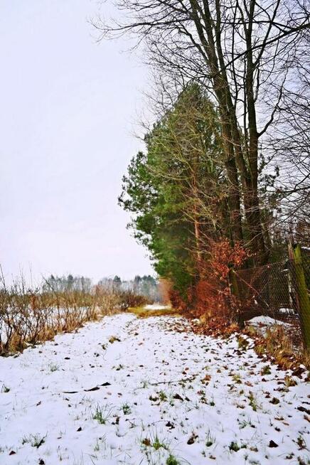 Działka pod Kazimierzem-16ar spokojna okolica!!