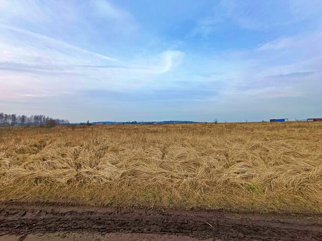 Działka budowlana Mazurowice gm. Malczyce