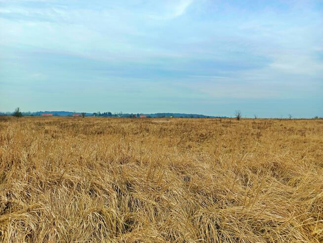 Działka budowlana Mazurowice gm. Malczyce