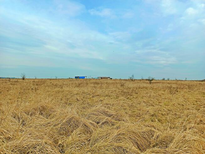 Działka budowlana Mazurowice gm. Malczyce