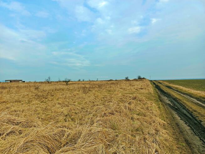 Działka budowlana Mazurowice gm. Malczyce