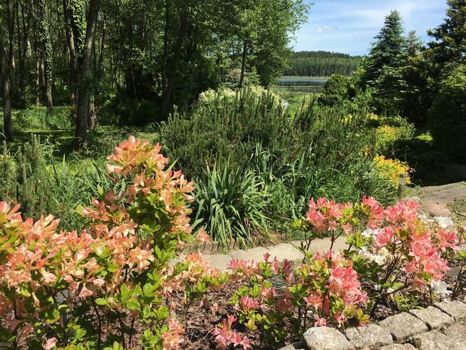 Dom z linią brzegową