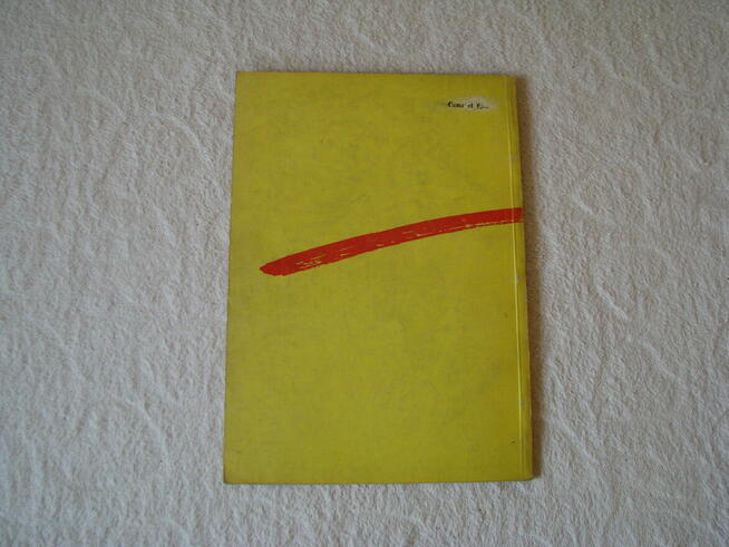 Odnawianie i konserwacja mieszkania, Marian Gruzo