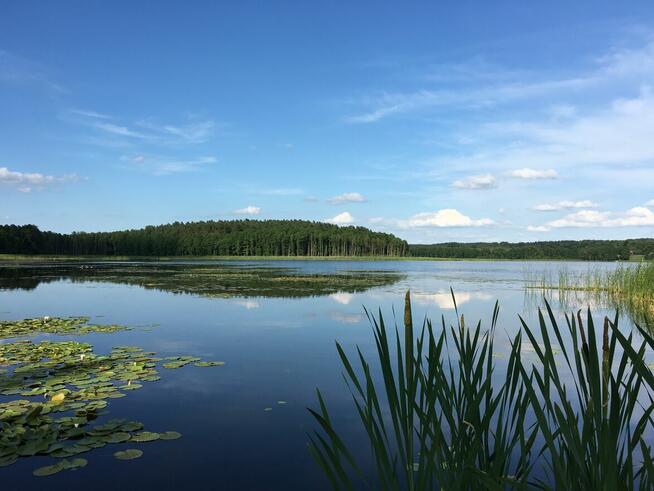 Dom z linią brzegową