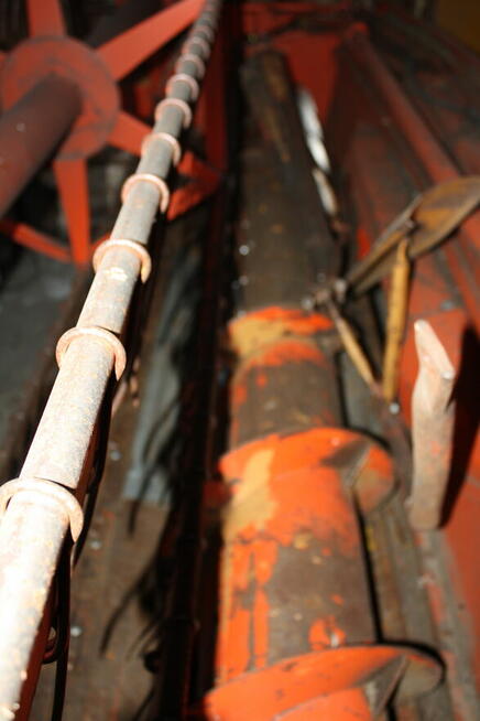 Bizon SUPER ZO56 - sieczkarnia + stół do rzepaku.