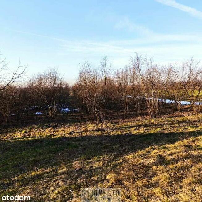 Dom 246m2 -Cena do negocjacji!- Zezulin gm. Ludwin