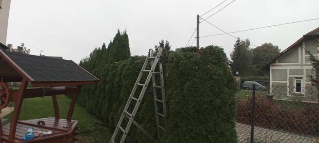 koszenie podkaszanie