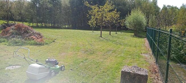 koszenie podkaszanie