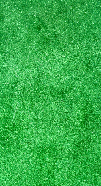 Sztuczna Trawa Piłkarska dla zwierząt