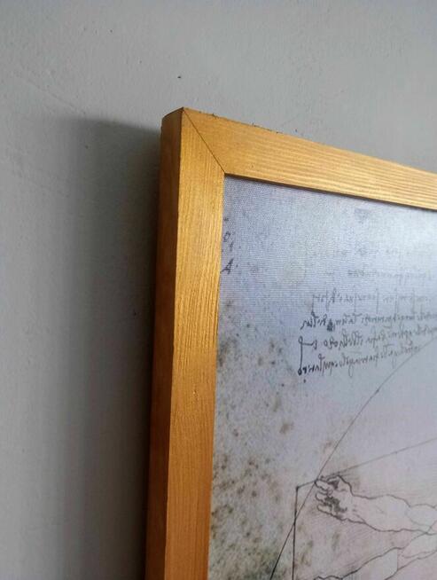 Obraz na płótnie -Człowiek witruwiański, Leonardo, 50x70cm