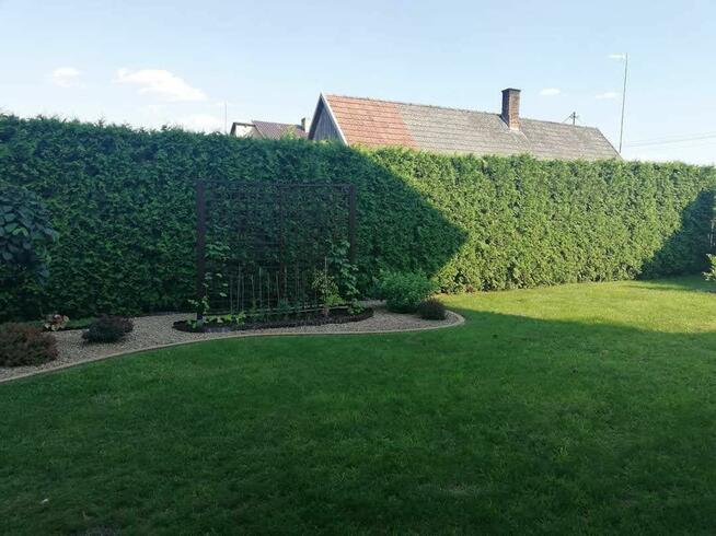 Usługi ogrodnicze Odnawianie Zakładanie Trawnik z rolki