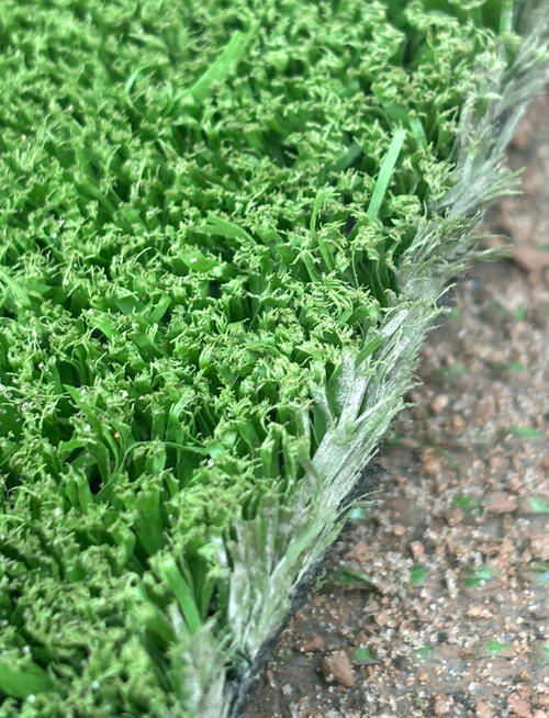 Sztuczna Trawa Piłkarska dla zwierząt