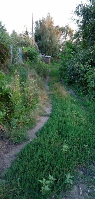 Sprzedam działkę w Nadbrzeżu