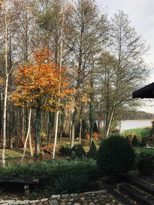 Dom z linią brzegową jeziora i pomostem